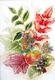 36  Rosemary Hubbard Autumn Tints  Watercolour